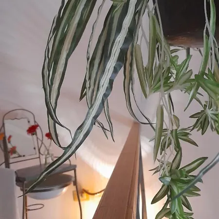 Emy House Apartamento *